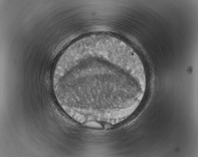 X0000115200825200912091132