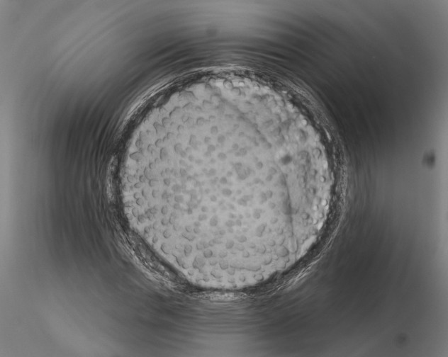 X0000115200826200912091132