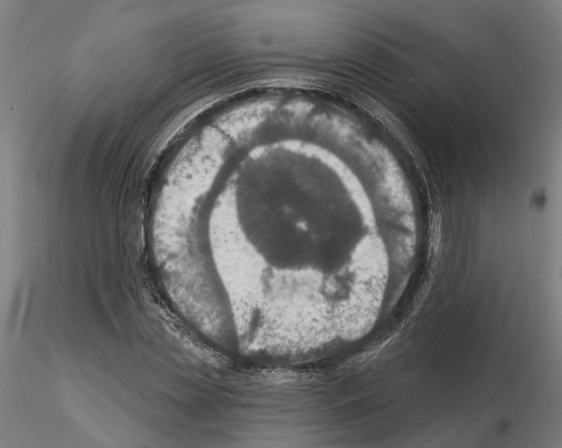 X0000115200829200912091132