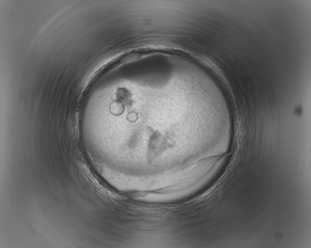 X0000115200831200912091132