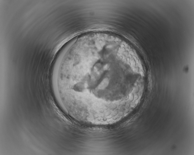 X0000115200834200912091132