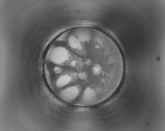 X0000115200835200912091132