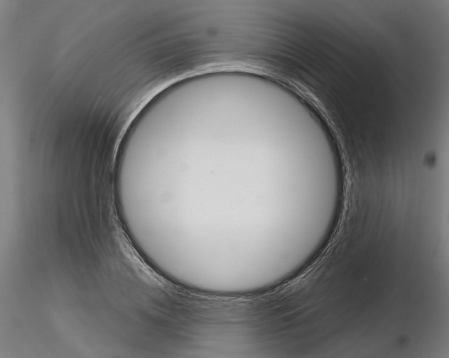 X0000115200836200912091132