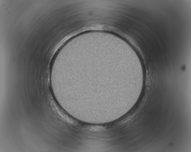 X0000115200837200912091132