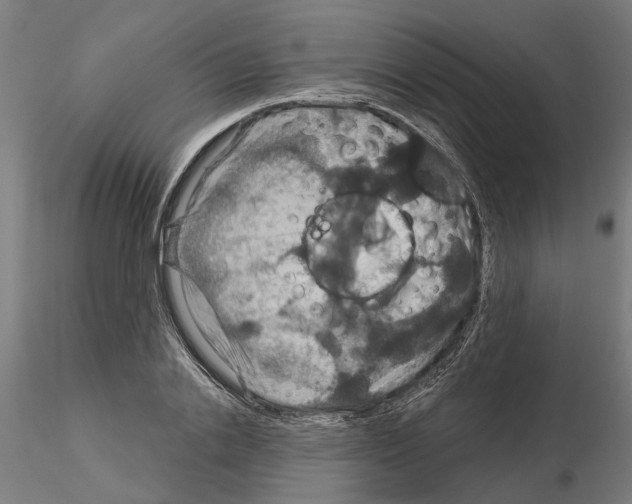 X0000115200838200912091132