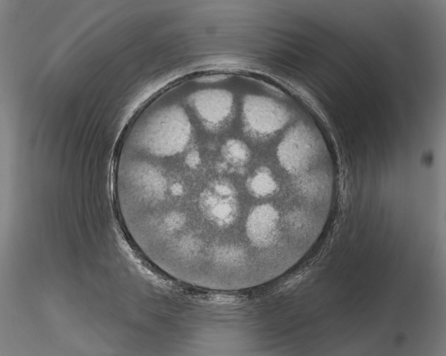 X0000115200839200912091133