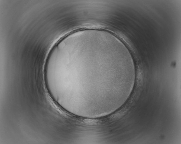 X0000115200840200912091133