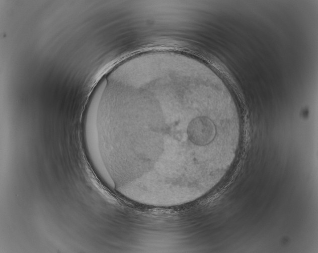 X0000115200842200912091133