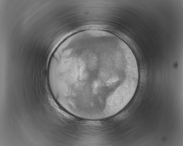 X0000115200844200912091133