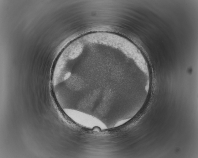 X0000115200845200912091133