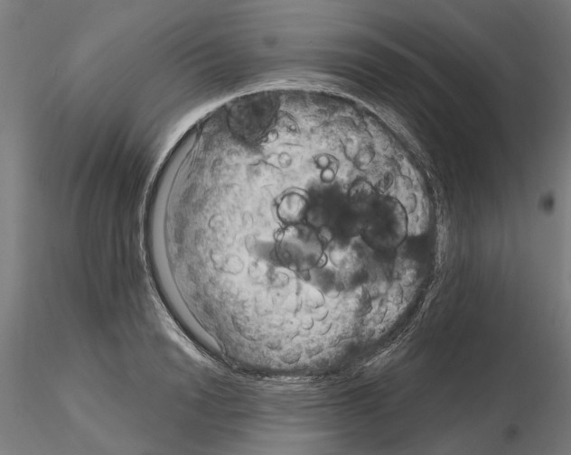 X0000115200846200912091133