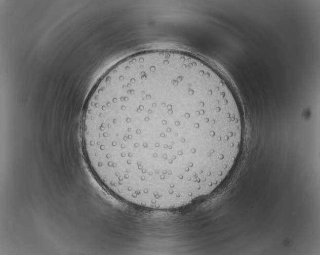 X0000115200847200912091133