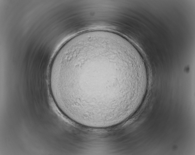 X0000115200848200912091133