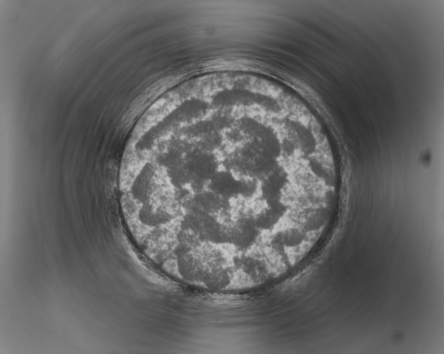 X0000115200849200912091133