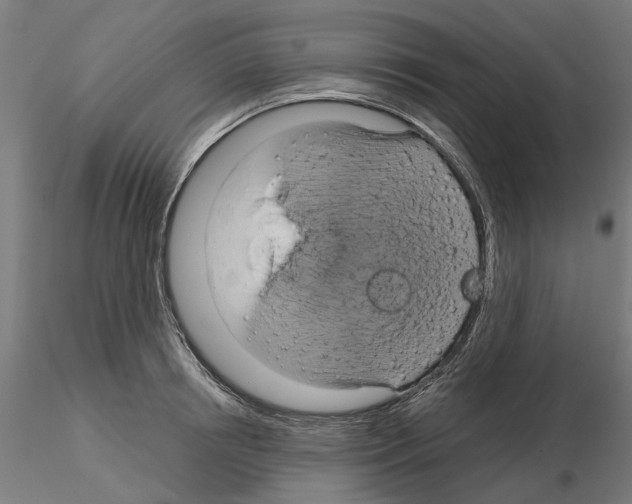 X0000115200850200912091133