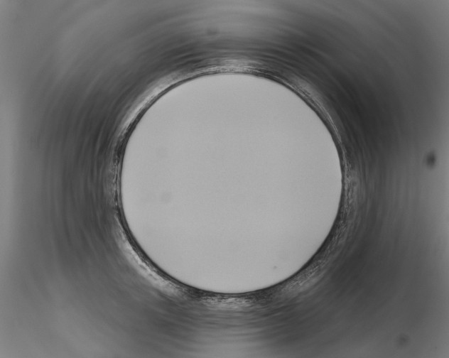 X0000115200851200912091133