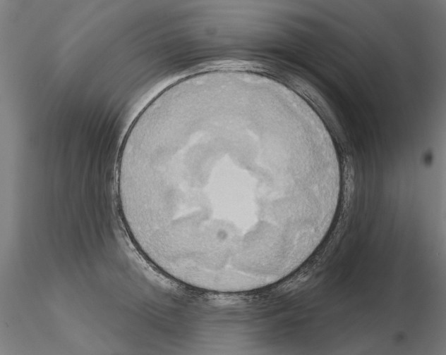 X0000115200852200912091133