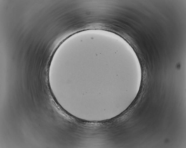 X0000115200854200912091133