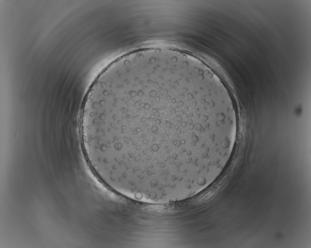 X0000115200855200912091133