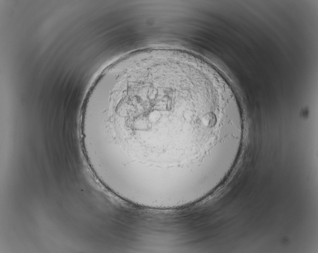 X0000115200856200912091133