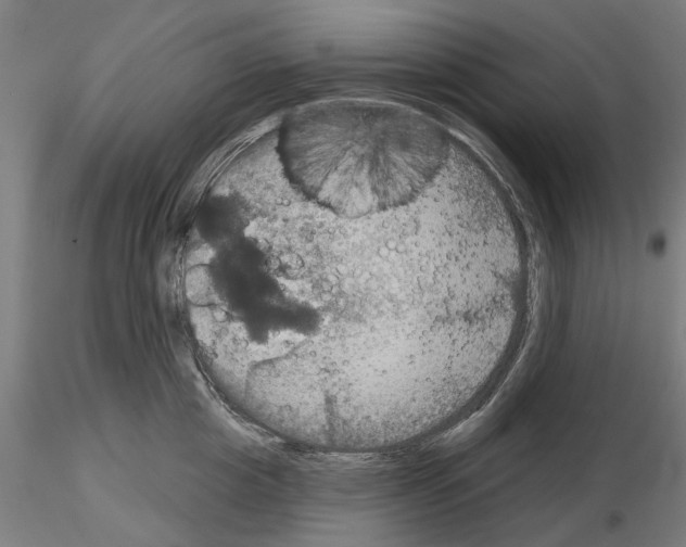 X0000115200857200912091133