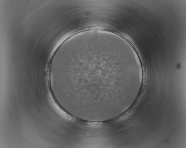 X0000115200859200912091133