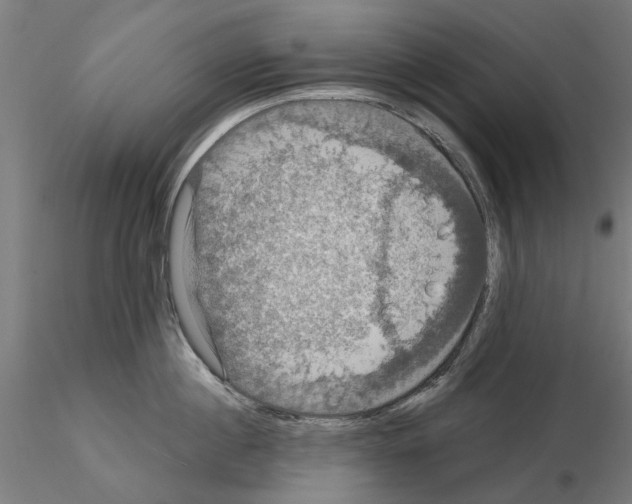 X0000115200860200912091133