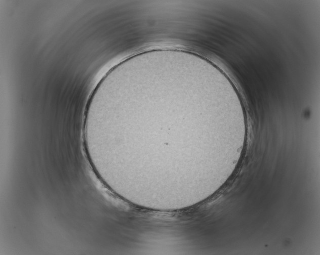 X0000115200861200912091133