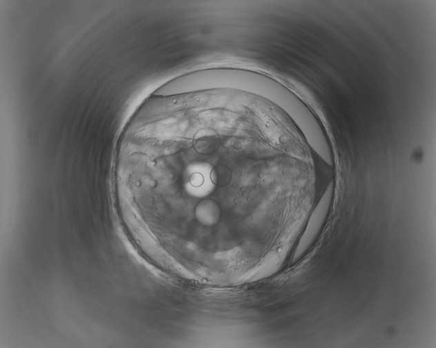 X0000115200863200912091133