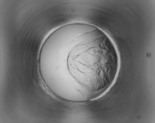 X0000115200864200912091133