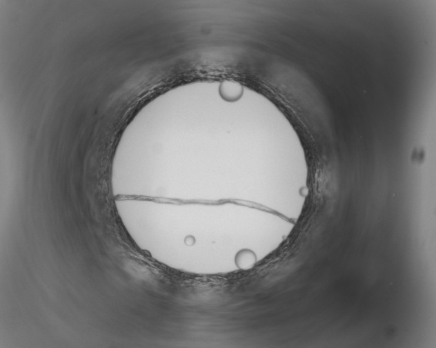 X0000115200865200912091132