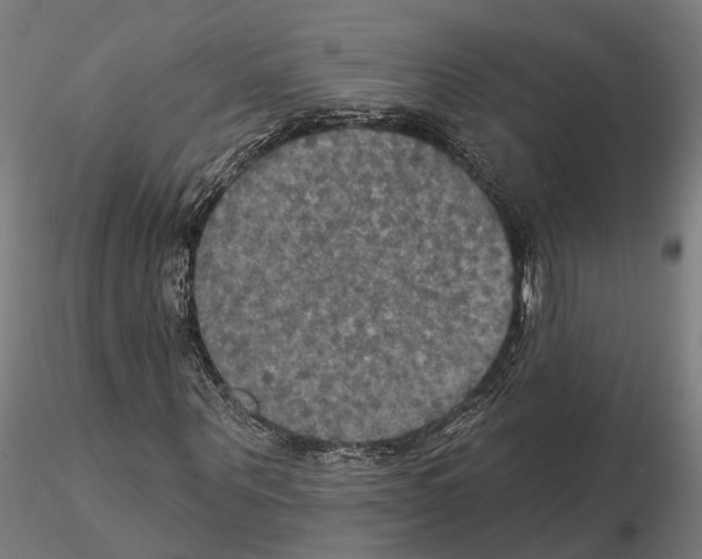 X0000115200867200912091132