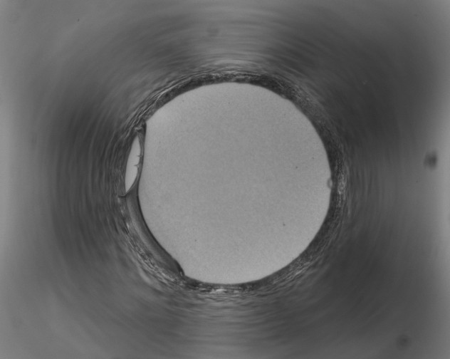 X0000115200868200912091132