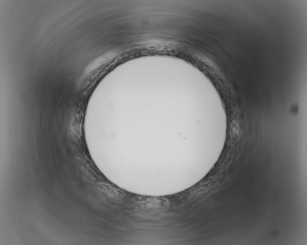 X0000115200869200912091132