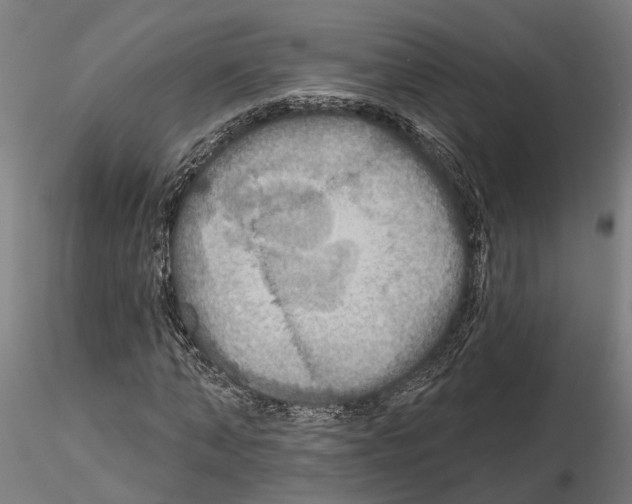 X0000115200870200912091132