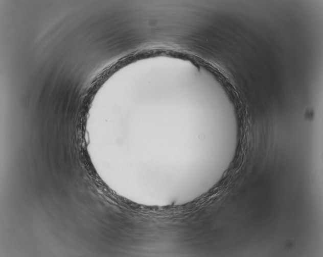 X0000115200872200912091132