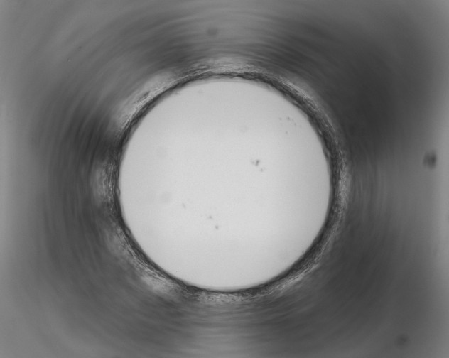 X0000115200873200912091132