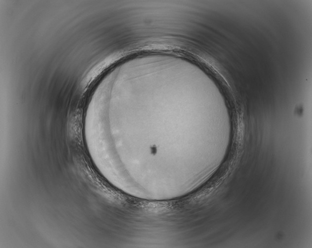 X0000115200874200912091132