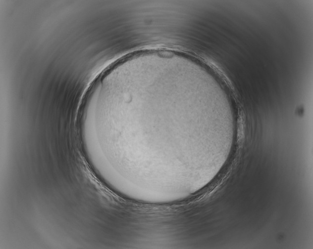 X0000115200876200912091132