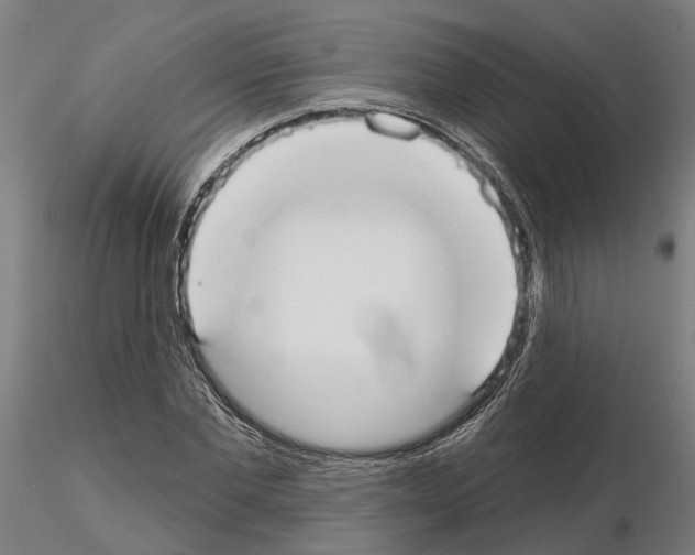 X0000115200877200912091132