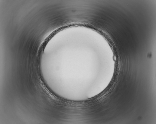 X0000115200878200912091132