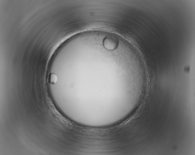 X0000115200880200912091132