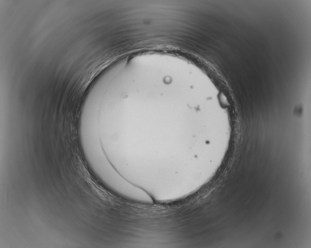 X0000115200881200912091132