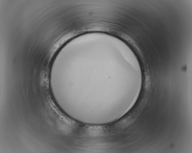 X0000115200882200912091132