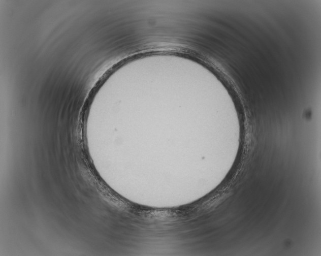 X0000115200883200912091132