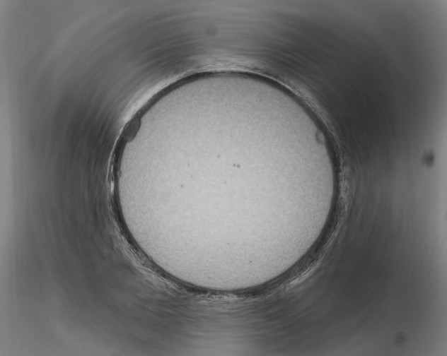 X0000115200885200912091132