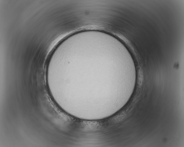 X0000115200886200912091132