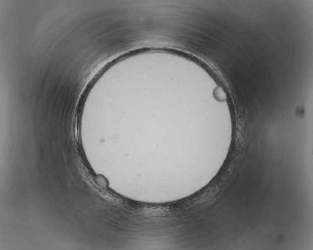 X0000115200887200912091132