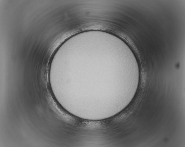 X0000115200890200912091132