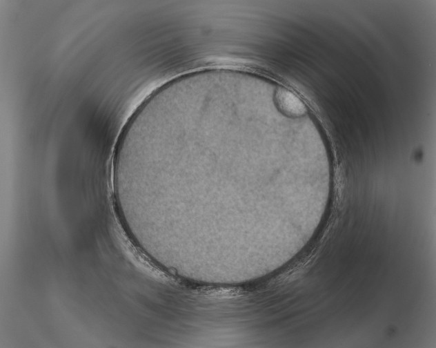 X0000115200891200912091131